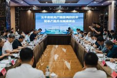 玉米密植高产精准调控技